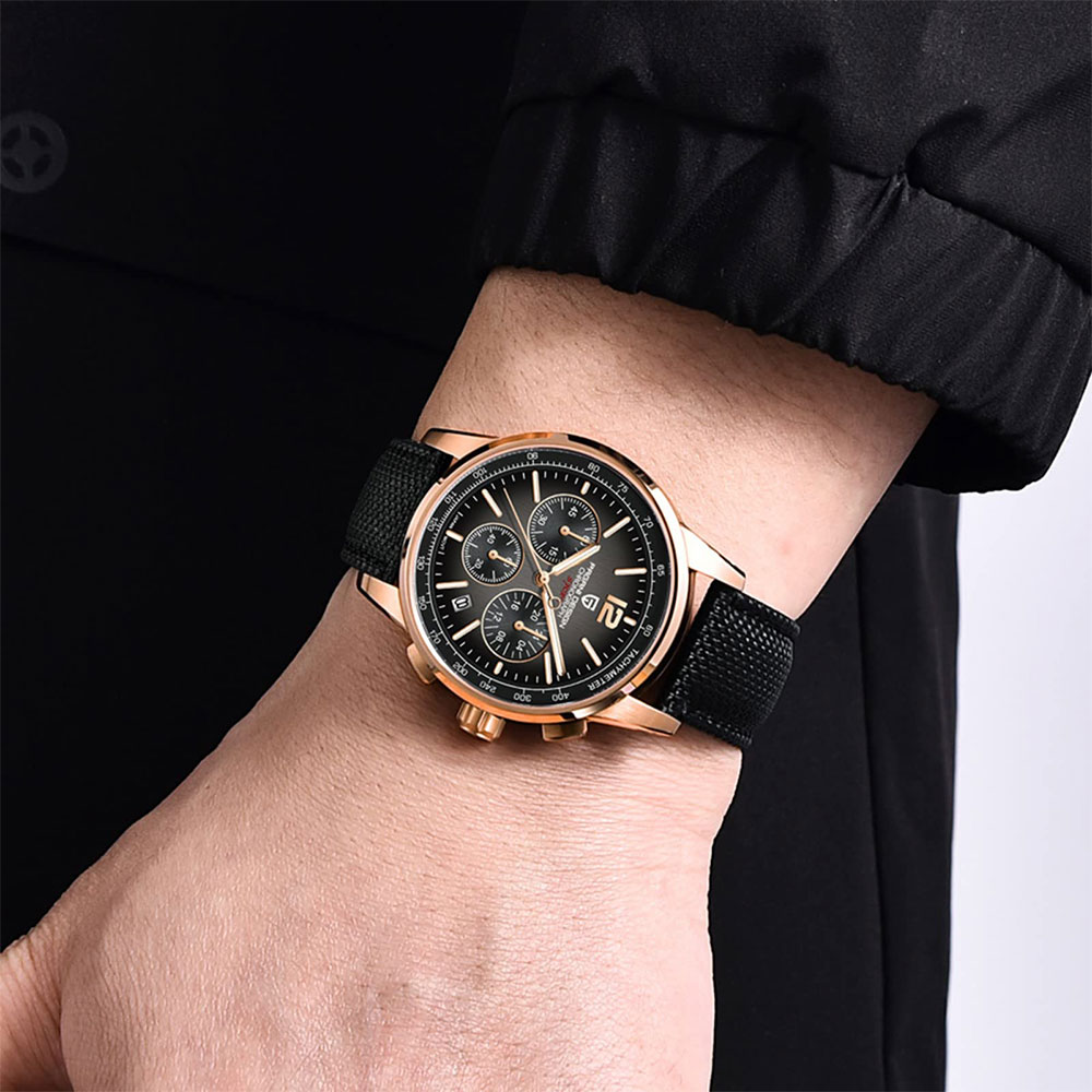 PAGANI DESIGN New Mens Watch 4 - đánh giá và giá Luxury Quartz Watch Brands